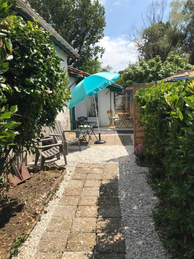 Appartement entre Océan et montagne 15bis avenue de Montbrun Anglet Exterior foto